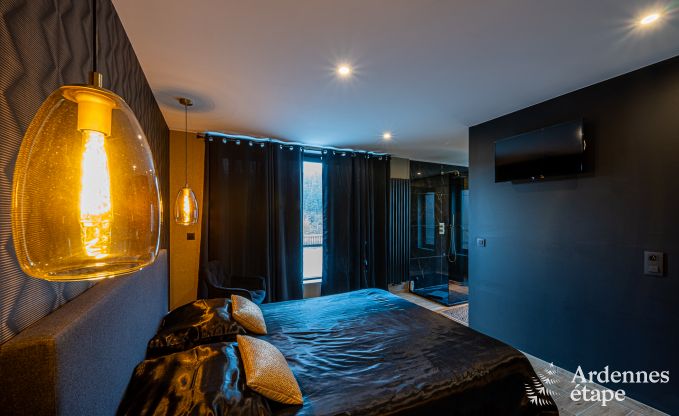 Luxeverblijf voor 10 personen met zwembad, jacuzzi, bij Spa en Francorchamps.