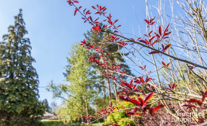 Vakantiehuis in Spa voor 2/3 personen in de Ardennen