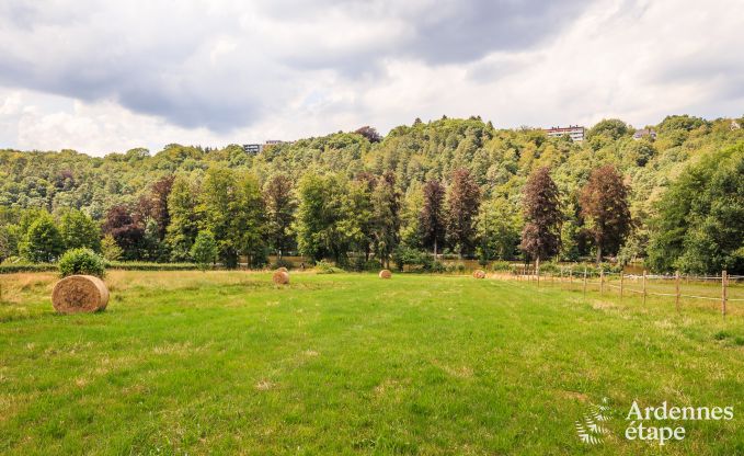 Vakantiehuis in Spa voor 4/6 personen in de Ardennen