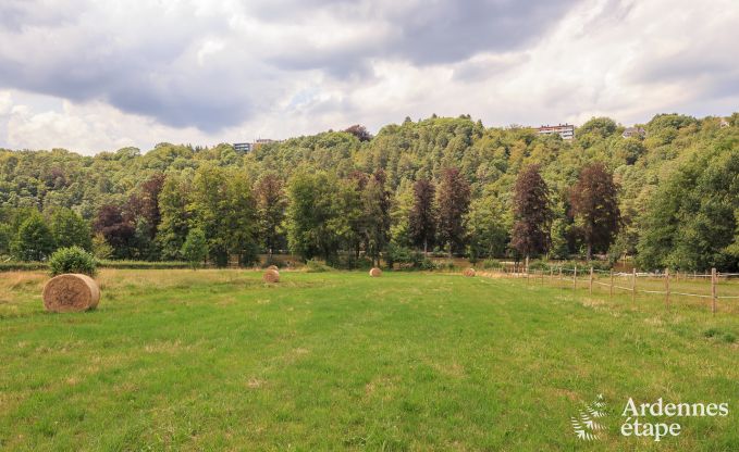 Vakantiehuis in Spa voor 5 personen in de Ardennen