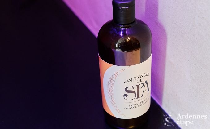 Luxe vakantiewoning in Spa voor 9 personen met 4 slaapkamers, 3 badkamers, sauna en infraroodcabine