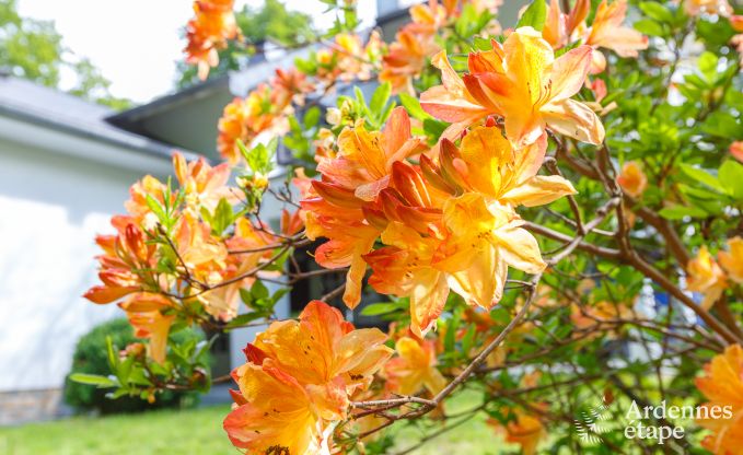 Vakantiehuis in Spa voor 15 personen in de Ardennen