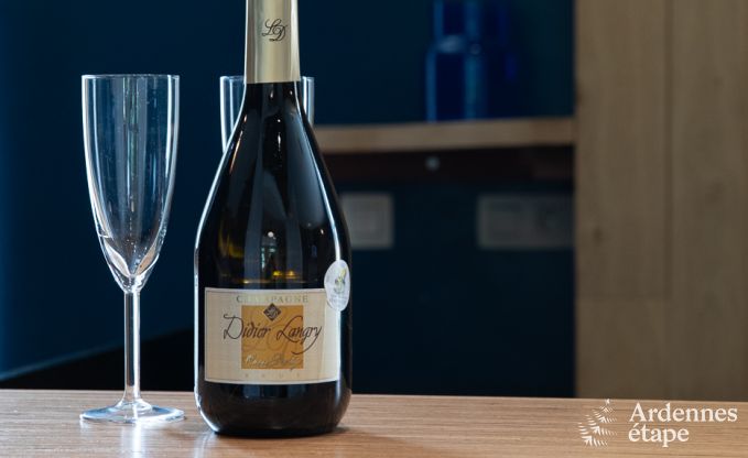 Kasteel in Spa voor 20 personen in de Ardennen