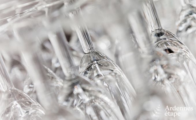 Luxe villa in Spa voor 15 personen in de Ardennen