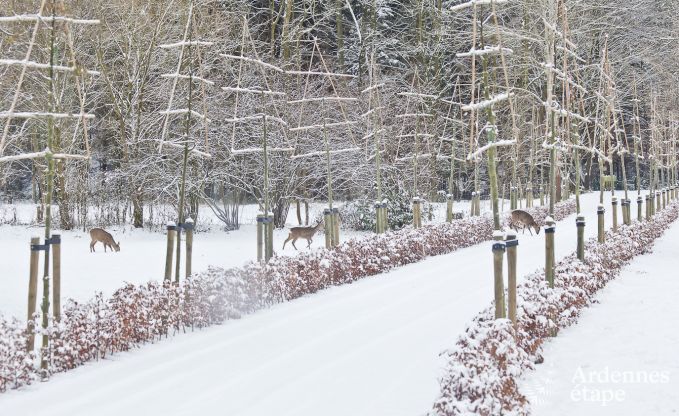Vakantiehuis in Spa voor 28 personen in de Ardennen