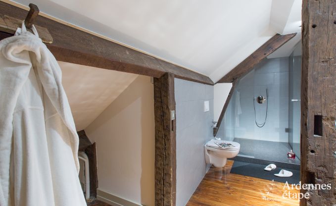 Vakantiehuis in Spa voor 20 personen in de Ardennen