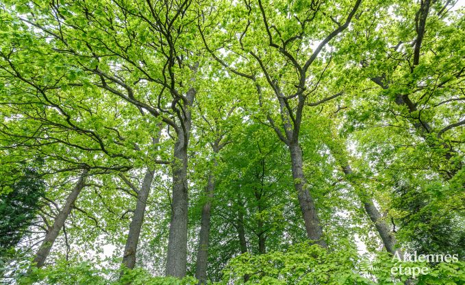 Vakantiehuis in Spa voor 20 personen in de Ardennen
