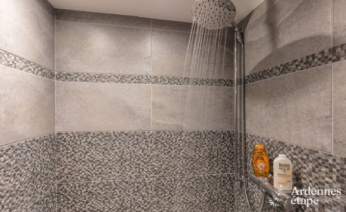 Vakantiehuis in Sprimont voor 2/4 personen in de Ardennen