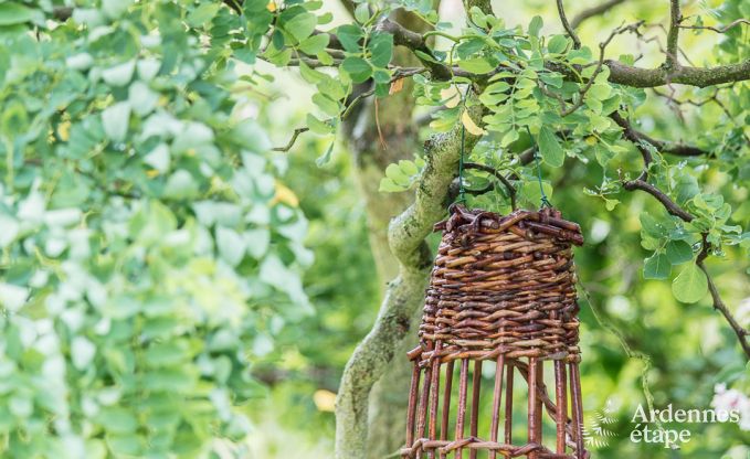 Vakantiehuis in Sprimont voor 2/4 personen in de Ardennen