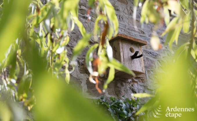 Vakantiehuis in Sprimont voor 2/4 personen in de Ardennen