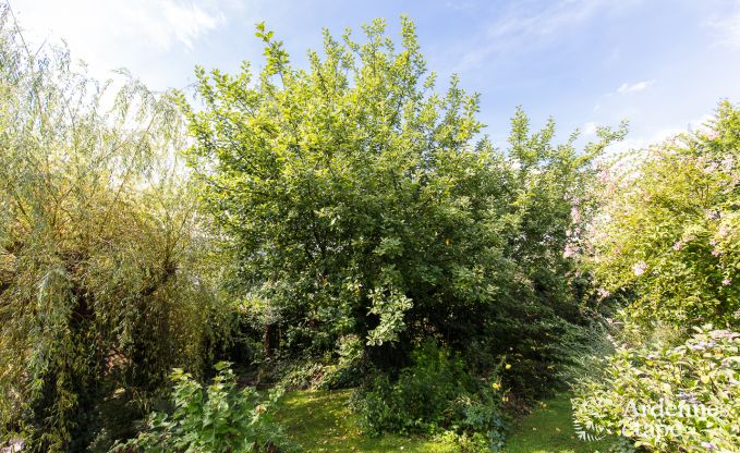 Vakantiehuis in Sprimont voor 2/4 personen in de Ardennen