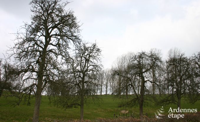 Vakantiehuis in Sprimont voor 10 personen in de Ardennen