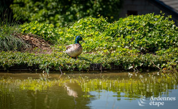 Chalet in Stavelot voor 2 personen in de Ardennen