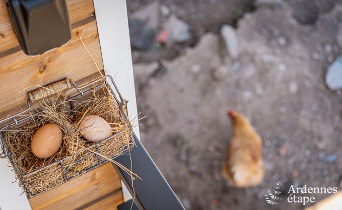 Chalet in Stavelot voor 2 personen in de Ardennen