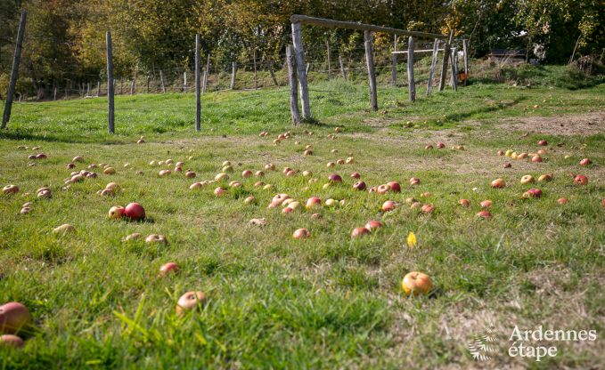 Chalet in Stavelot voor 2 personen in de Ardennen