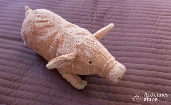 Chalet in Stavelot voor 4/6 personen in de Ardennen