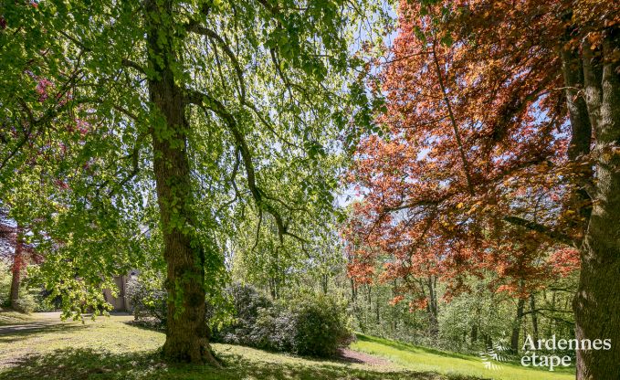 Luxe kasteel in Stavelot voor 8 met zwembad en tuin in de Hoge Venen