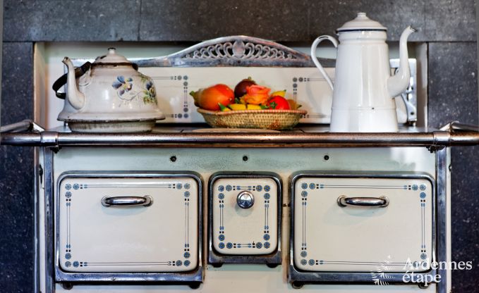 Luxekasteel in de Ardennen voor 28 personen in Stavelot met sauna, jacuzzi en speeltuin