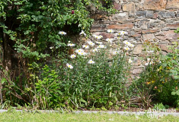 Luxe villa in Stavelot voor 14 personen in de Ardennen