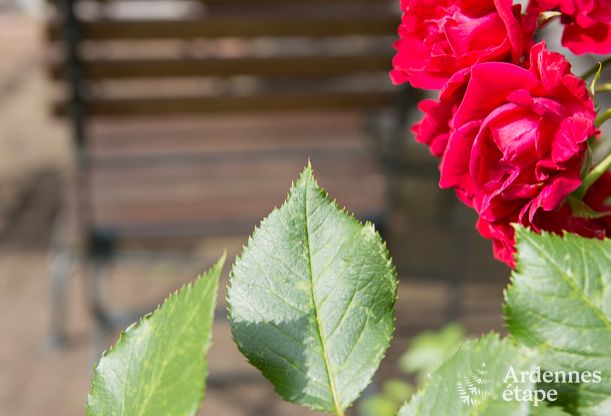 Luxe villa in Stavelot voor 14 personen in de Ardennen