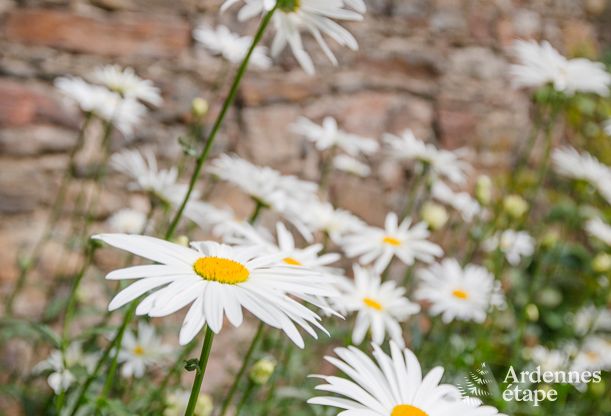 Luxe villa in Stavelot voor 14 personen in de Ardennen