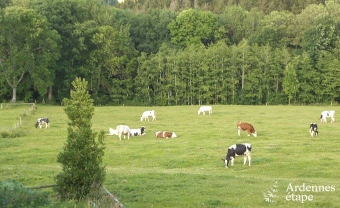 Vakantie op de boerderij in Stavelot voor 4 personen in de Ardennen