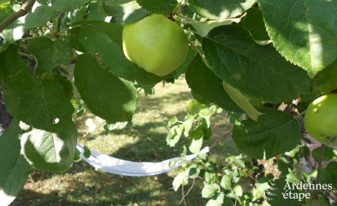 Vakantie op de boerderij in Stavelot voor 4 personen in de Ardennen