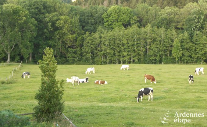 Vakantie op de boerderij in Stavelot voor 4 personen in de Ardennen