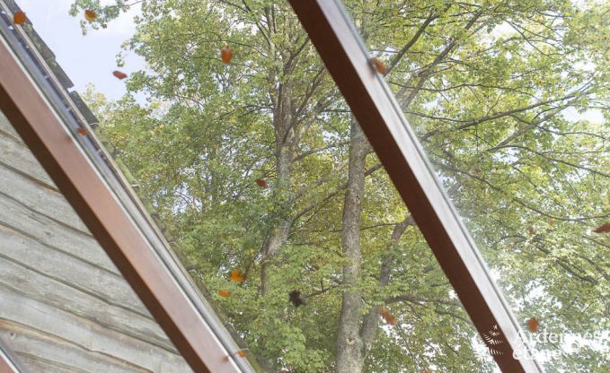 Vakantiehuis in Stavelot voor 4 personen in de Ardennen