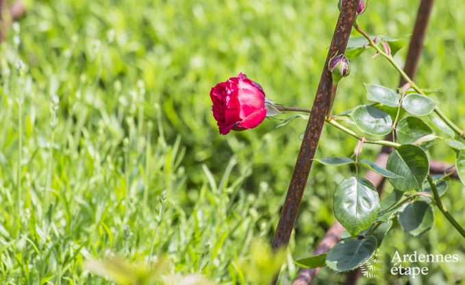 Vakantiehuis in Stavelot voor 2 personen in de Ardennen