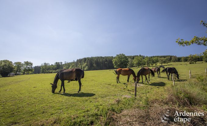 Vakantiehuis in Stavelot voor 6 personen in de Ardennen