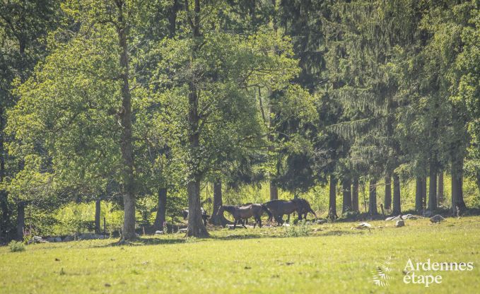 Vakantiehuis in Stavelot voor 6 personen in de Ardennen