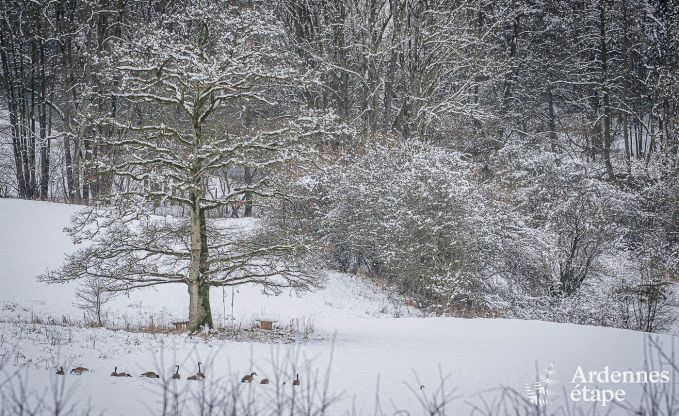 Vakantiehuis in Stavelot met jacuzzi en uitzicht voor 4 personen in de Ardennen