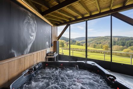 Vakantiehuis  in de Ardennen met jacuzzi en uitzicht voor 4 personen, Stavelot
