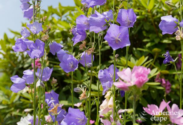 Vakantiehuis in Stavelot voor 2 personen in de Hoge Venen