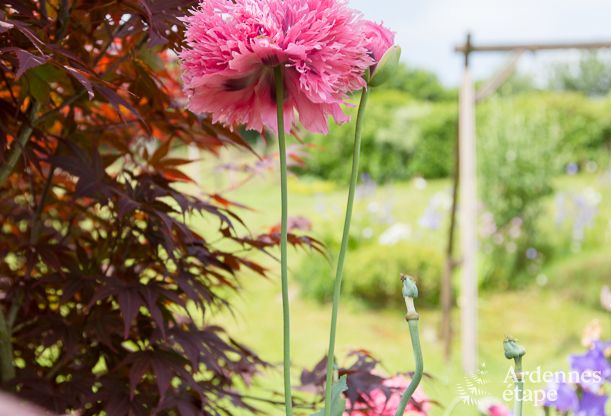 Vakantiehuis in Stavelot voor 2 personen in de Hoge Venen