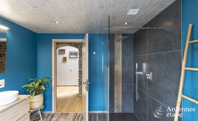 Vakantiehuis in Sterpigny voor 10/12 personen in de Ardennen