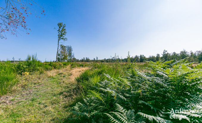 Vakantiehuis in Stoumont voor 6 personen in de Ardennen