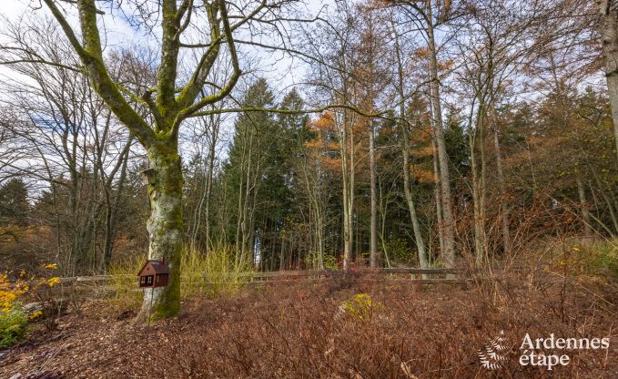 Vakantiehuis in Stoumont voor 7 personen in de Ardennen