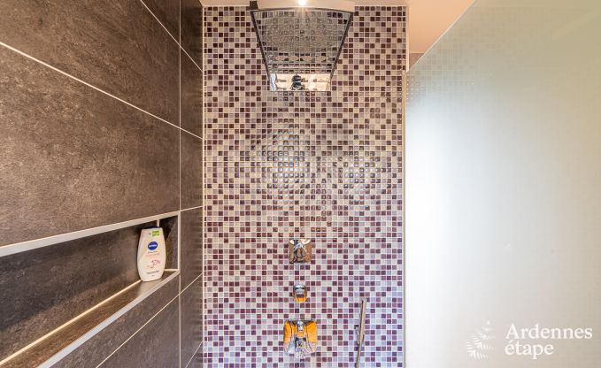 Vakantiehuis in Stoumont voor 11 personen in de Ardennen