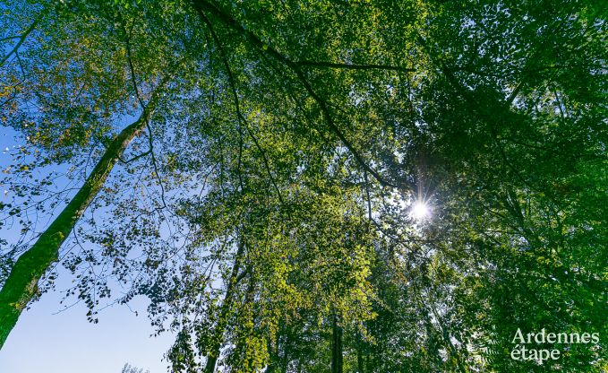 Huis te huur voor 6 personen in Stoumont, Ardennen, 3 slaapkamers, priv� tuin, terras met barbecue, optimaal comfort