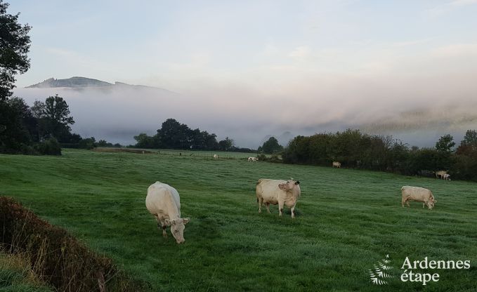 Vakantiehuis in Stoumont voor 11 personen in de Ardennen
