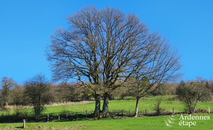 Vakantiehuis in Stoumont voor 11 personen in de Ardennen