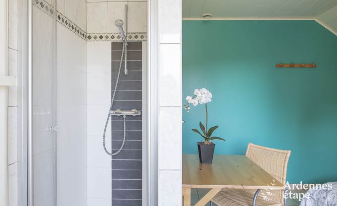 Vakantiehuis in Stoumont voor 9 personen in de Ardennen