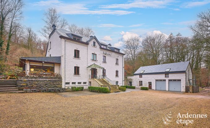 Luxueus kasteel in Tellin voor 24 personen met zwembad, sauna, jacuzzi en 10 slaapkamers