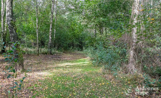Gezellige chalet in Tenneville voor 4 personen/3 volwassenen met 2 slaapkamers, speelruimte, babyhoek en panoramisch uitzicht