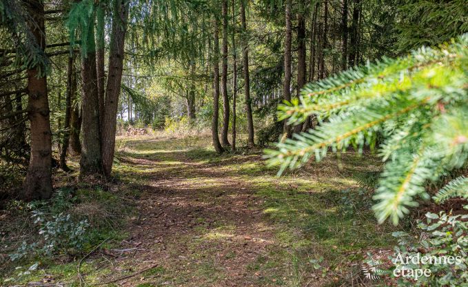 Gezellige chalet in Tenneville voor 4 personen/3 volwassenen met 2 slaapkamers, speelruimte, babyhoek en panoramisch uitzicht