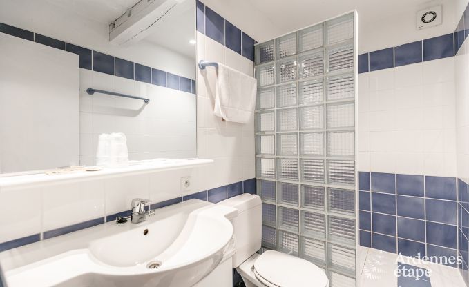 Luxe villa in Tenneville voor 26 personen in de Ardennen