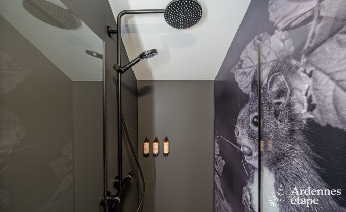 Vakantiehuis in Tenneville voor 10 personen in de Ardennen