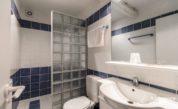 Luxe villa in Tenneville voor 26 personen in de Ardennen